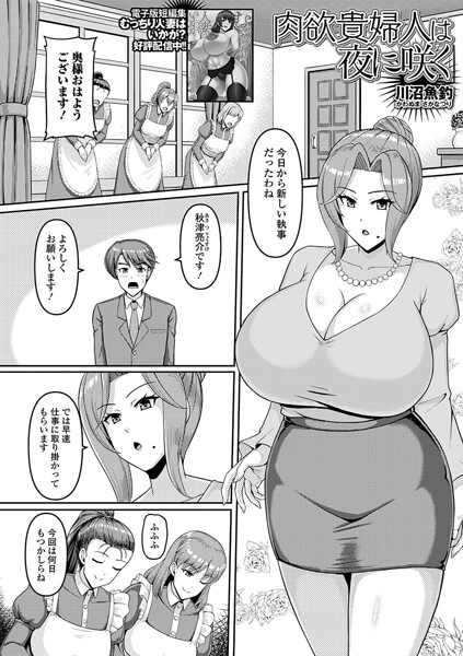 単話❤肉欲貴婦人は夜に咲く（単話）（単話）[川沼魚釣]