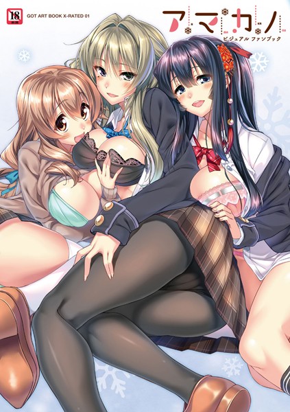 単行本❤アマカノビジュアルファンブック[ピロ水]