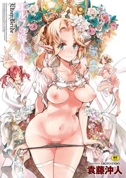 単行本❤エルフの嫁入り[袁藤沖人]