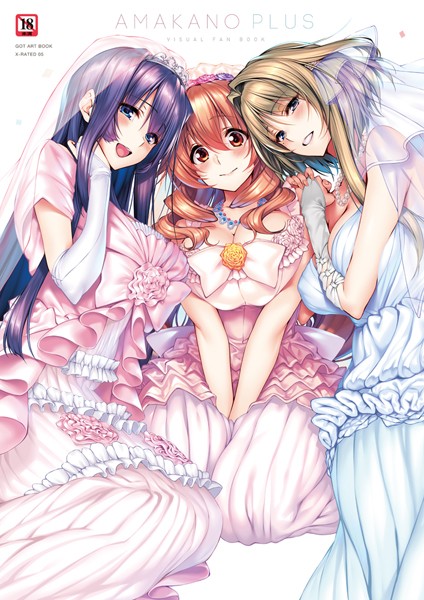 単行本❤アマカノ＋ ビジュアルファンブック[ピロ水]