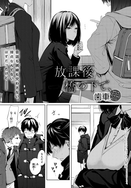 単話❤放課後、橋の下で、（単話）[歯車]